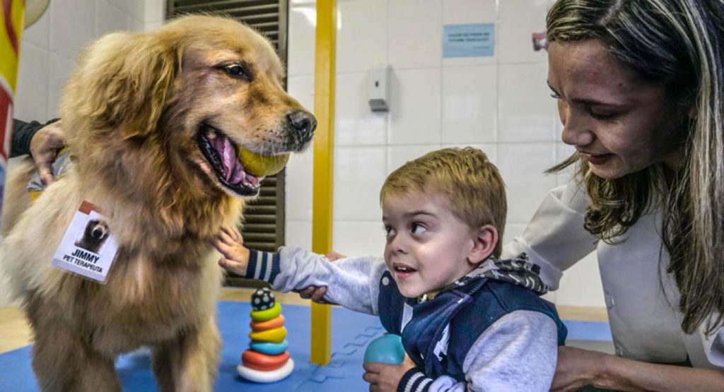 Perro visitando a un paciente en el hospital