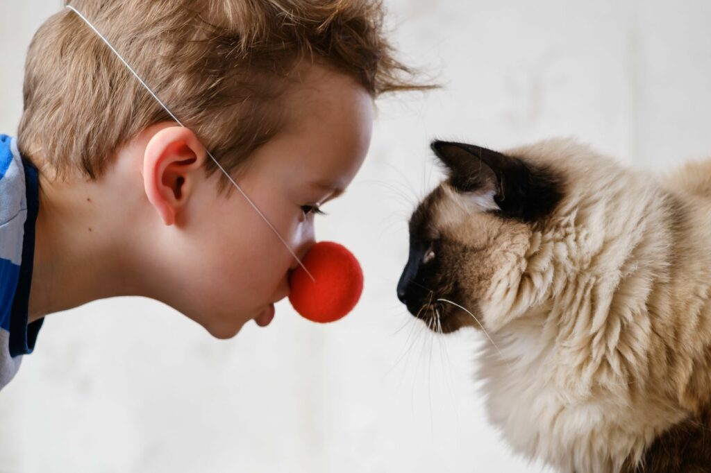 Niño con nariz de payaso jugando con gato