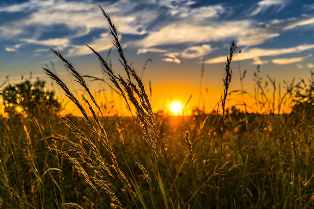 Cultivar no Inverno: Dicas para Prosperar