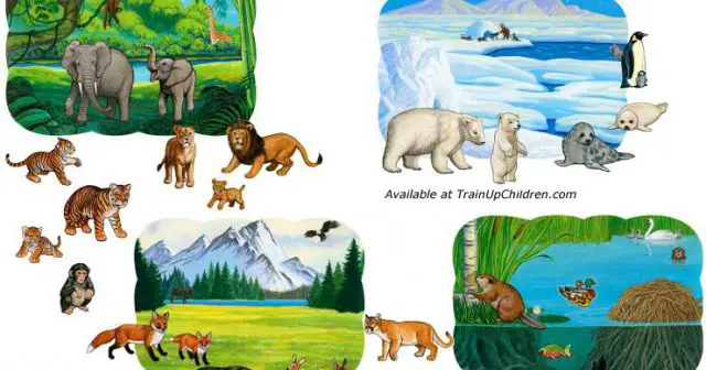 Diversos Animais Diferentes e o seu Habitat 