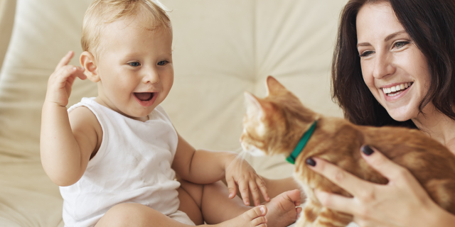 Mãe Apresentando Gato para o Bebê