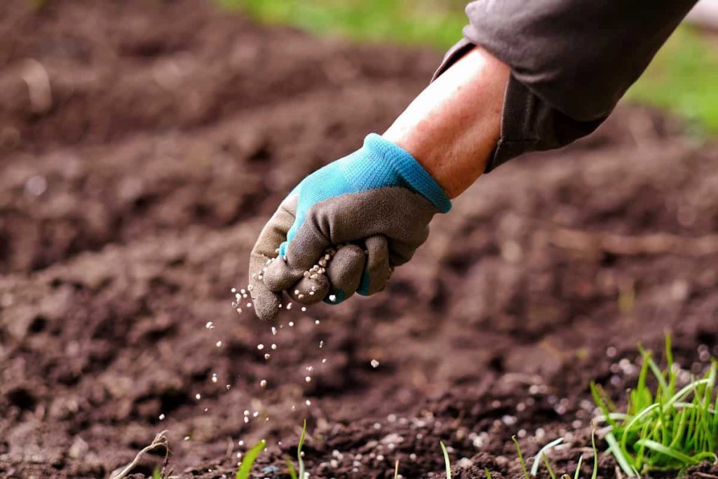 Mano humana fertilizando la tierra