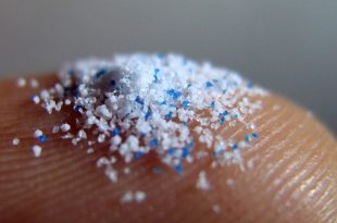Microplásticos na Ponta dos Dedos