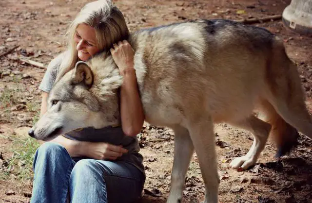 Mulher Abraçando Lobo