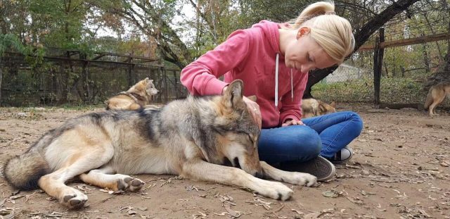 Mulher com Lobo no Colo