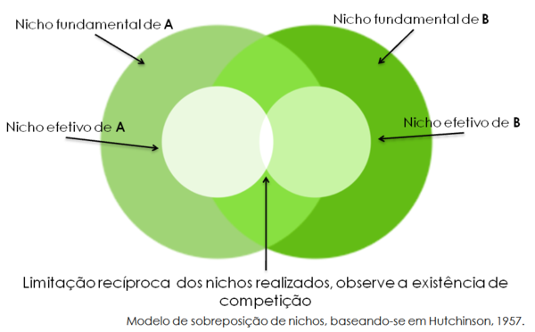 Nicho Ecológico: Equilíbrio e Sustentabilidade
