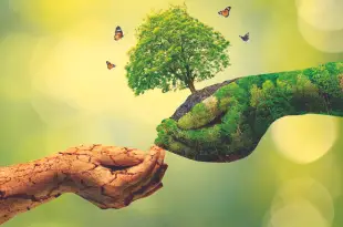 O Ser Humano Segurando o Planeta e Árvore