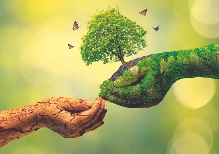 O Ser Humano Segurando o Planeta e Árvore 