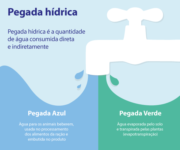 ¿Qué es la huella hídrica?