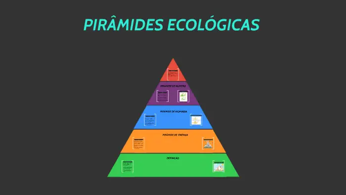 Pirâmede Ecológica Exemplo
