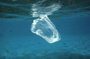 Plástico no Fundo do Oceano