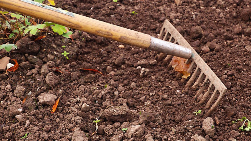 Substrato para Plantação