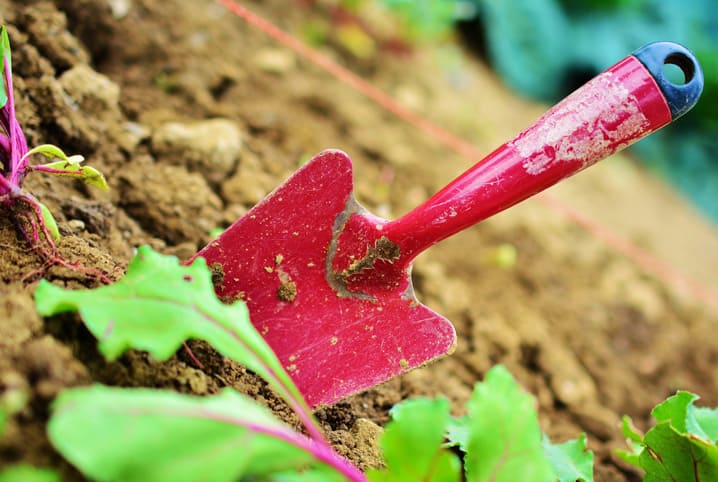 Manutenção de Substrato em Vasos e Jardins