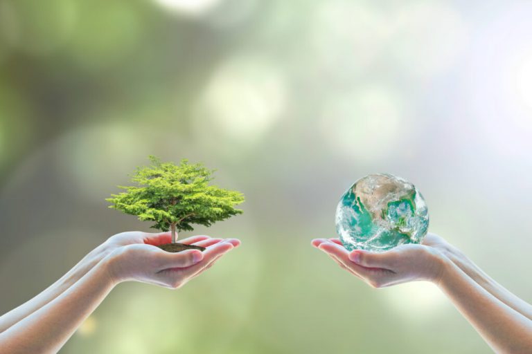Uma Mão Humana Segura Árvore e Outra Segura Planeta