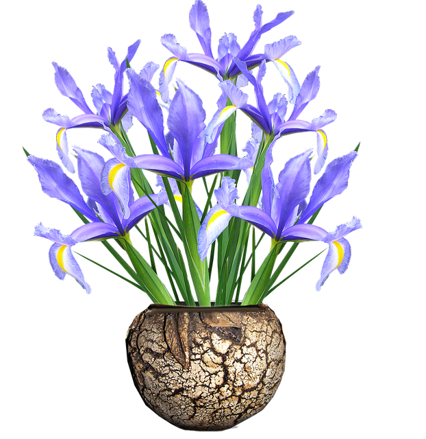 Jarrón holandés Iris