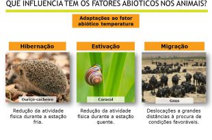 Animais e Fatores Abióticos