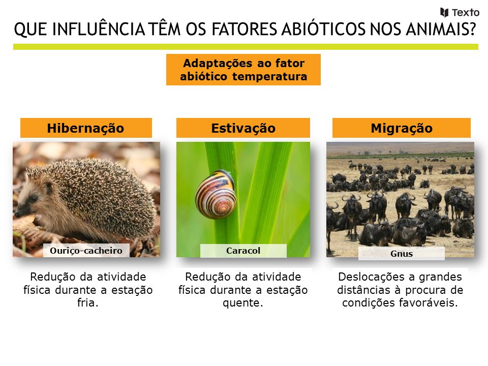 Animais e Fatores Abióticos 