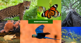 Biodiversidade