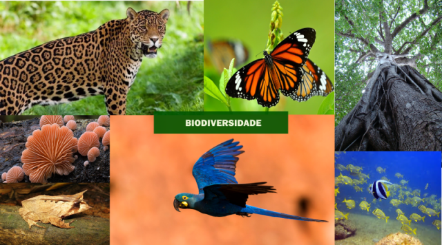 Biodiversidade