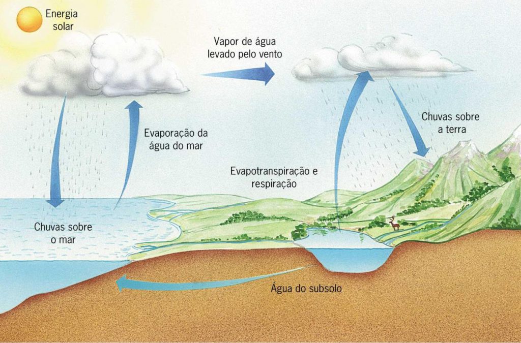 Ciclos Bioquimicos na Natureza