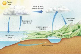 Ciclos Bioquimicos na Natureza