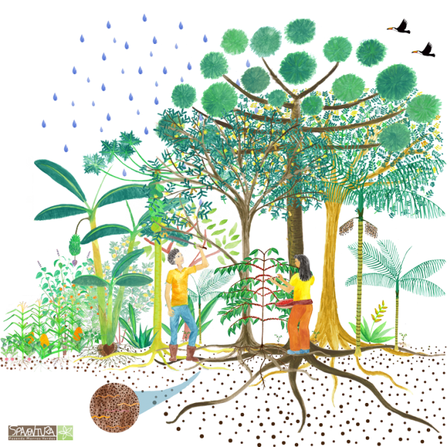 Ilustração Divertida de Agrofloresta