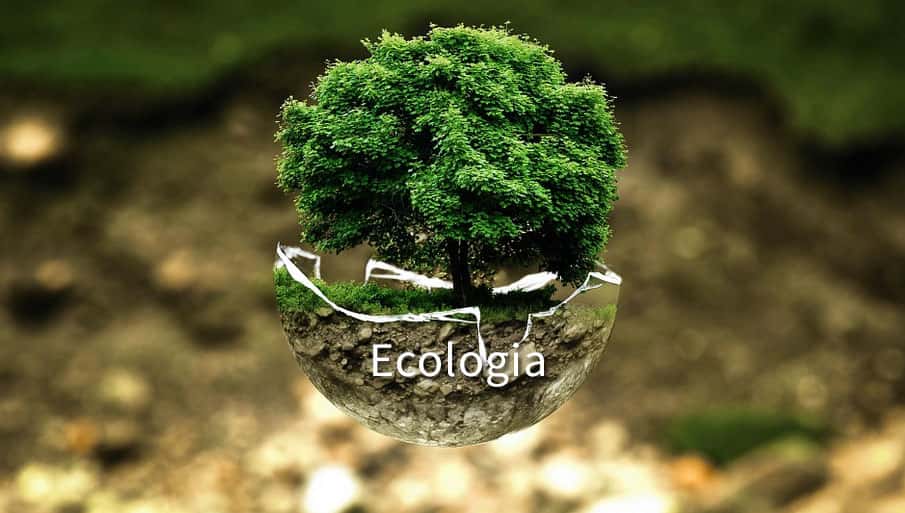 Ilustração Ecologia