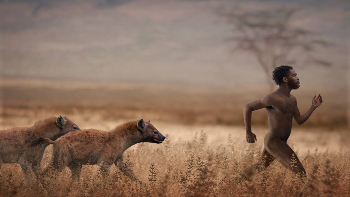 Conflitos entre Humanos e Predadores Naturais