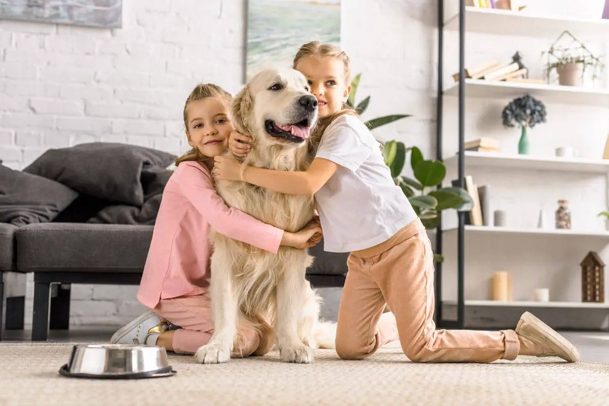 Raças de cães mais indicadas para crianças
