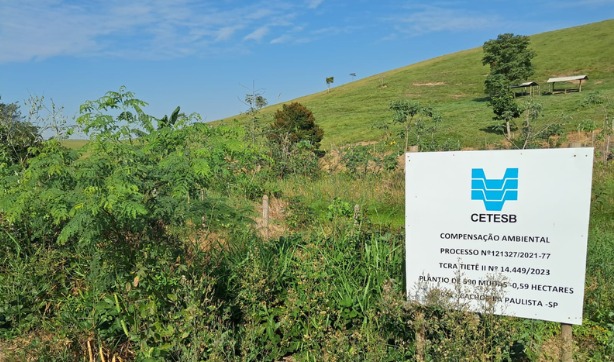 O que é Restauração Florestal e Compensação Ambiental?