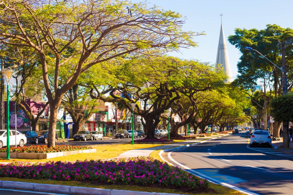 árvore nativa em áreas urbanas