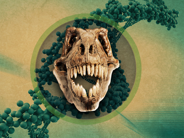 Como os cientistas recriam o DNA de espécies extintas?