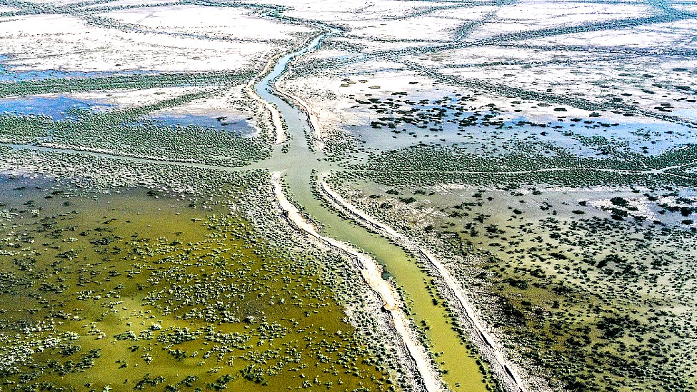 Guerra Irã e Iraque: Desequilíbrios químicos em ecossistemas aquáticos locais