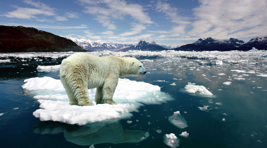 O impacto do derretimento do gelo no Ártico e na Antártica
