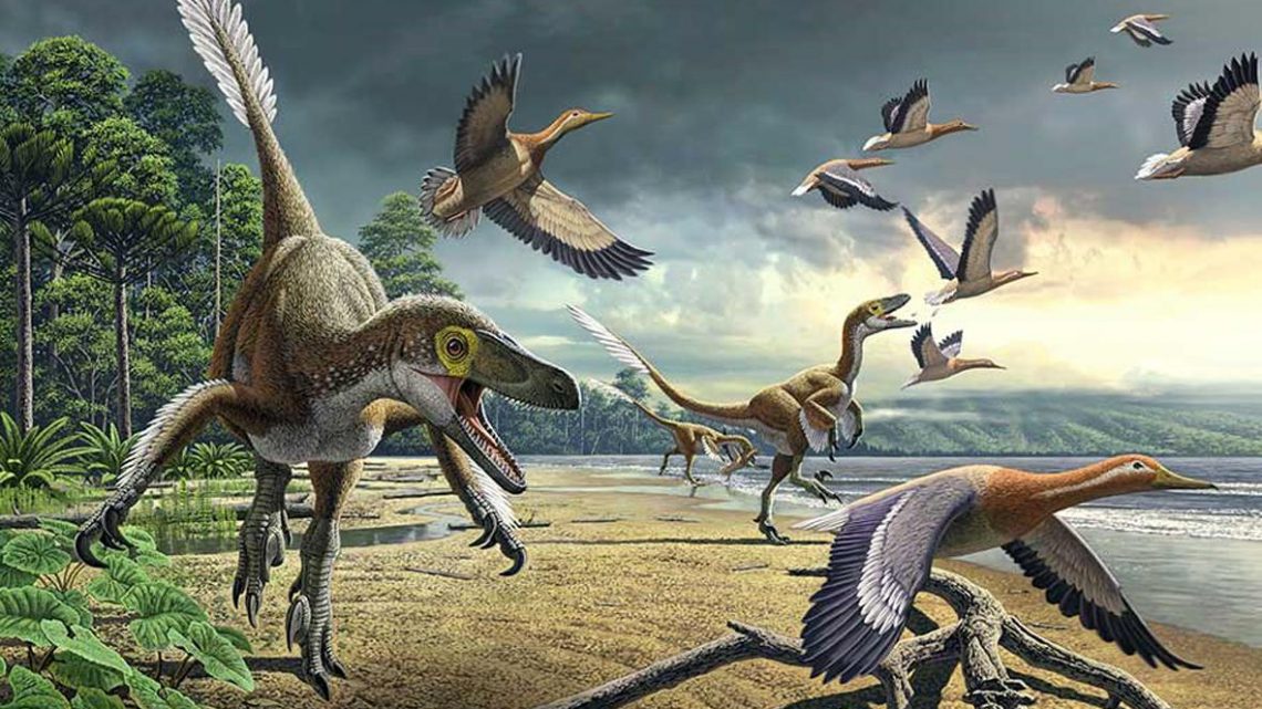 O mistério da extinção dos dinossauros aviários