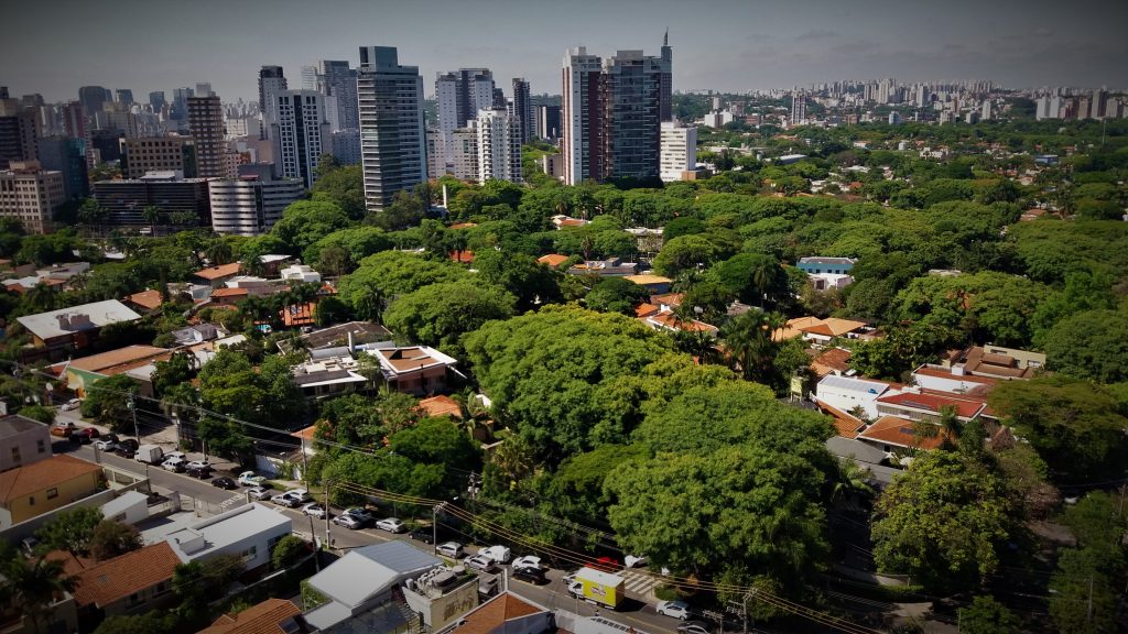 Como as florestas urbanas ajudam a reduzir a poluição?