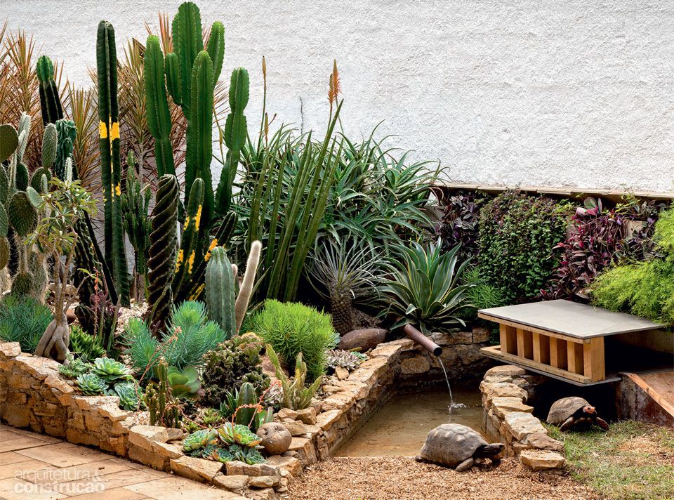 jardim de cactos e suculentas