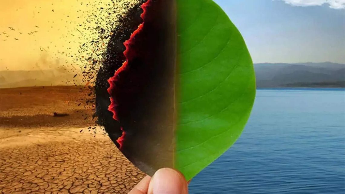 O impacto das mudanças climáticas nos biomas terrestres