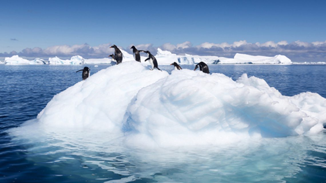 Como as mudanças climáticas afetam as zonas polares?
