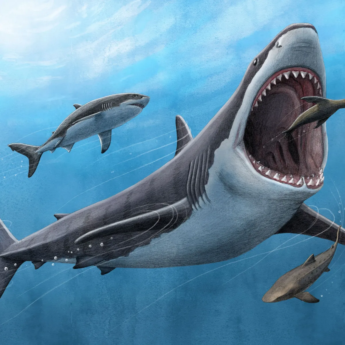 O papel do megalodonte no ecossistema marinho pré-histórico
