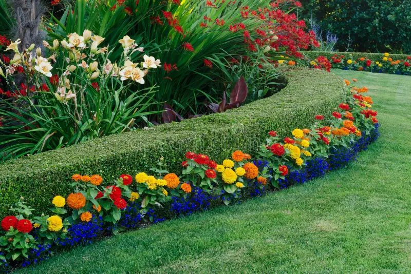 Como criar um jardim com cores harmoniosas?