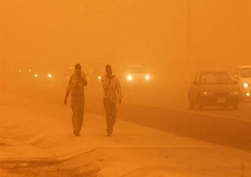 Impacto da poeira levantada — e toxinas — sobre a fauna terrestre