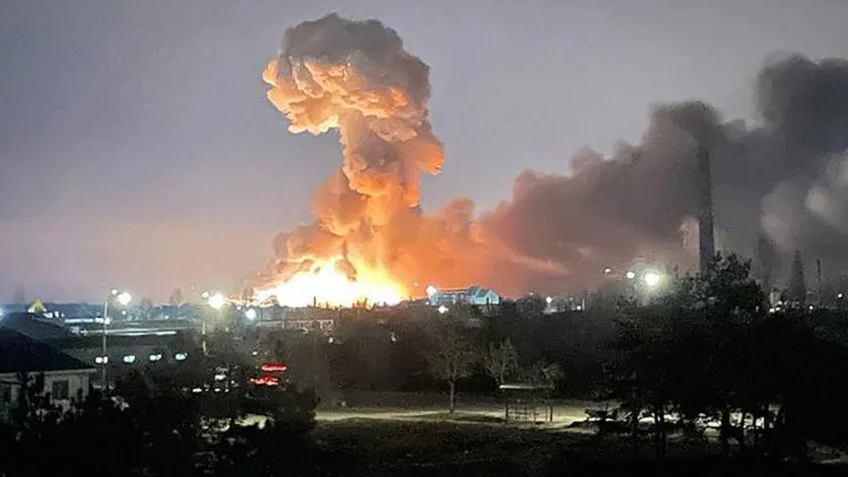 Impacto de fogos e explosões sobre polinizadores como abelhas e borboletas