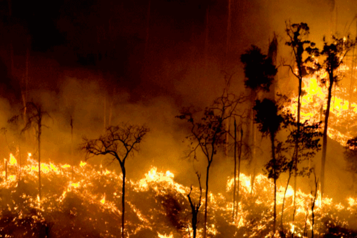 Queimadas em florestas de ripícolas por bombardeios