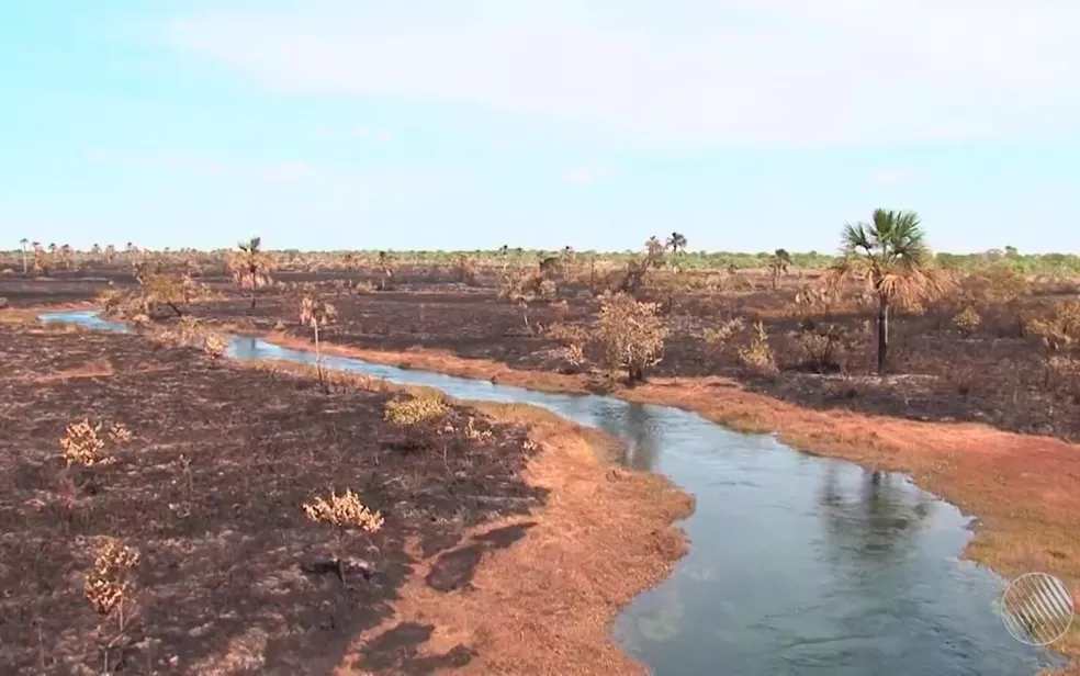 Degradação do solo por destruição da mata ciliar