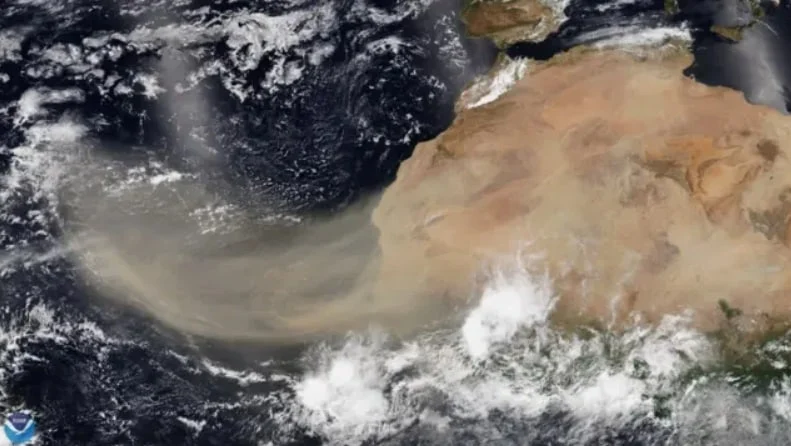Afetados pelas nuvens de poeira e fumaça atmosféricas sobre as plantas