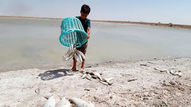 Guerra Irã e Iraque: Impacto na irrigação agrícola por contaminação da água do lençol freático