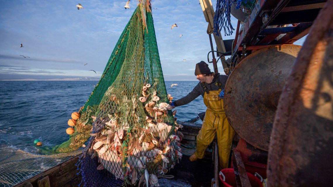 Os perigos da pesca predatória para os ecossistemas aquáticos