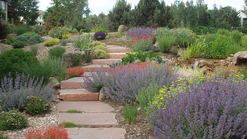 O que é xeriscaping e como aplicá-lo?