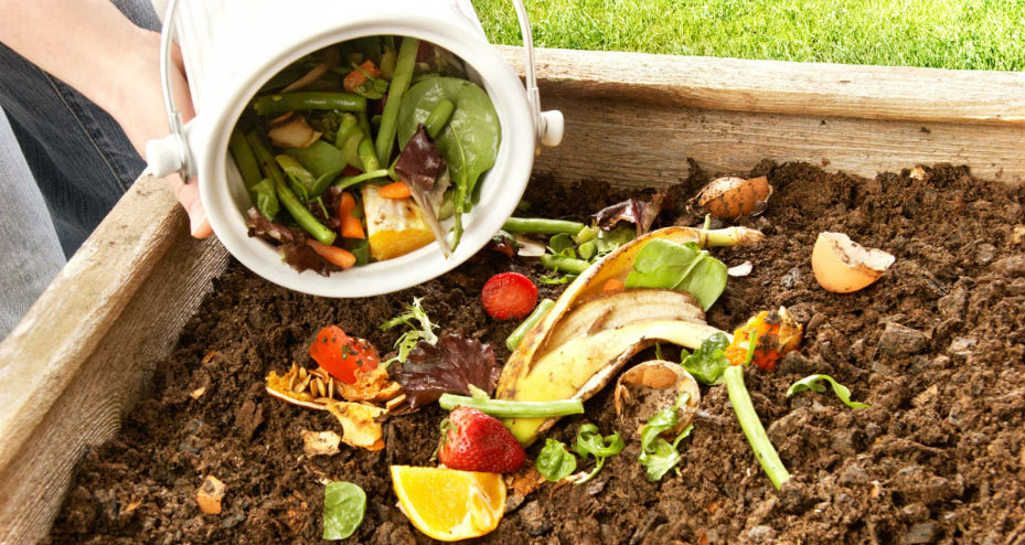 Como fazer compostagem caseira com restos de alimentos?